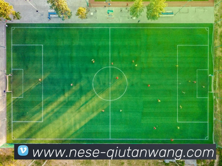 App Interface Preview